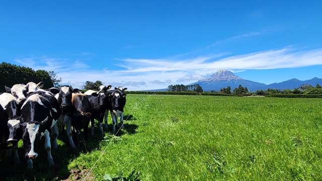 1203A Upland Road Inglewood_3