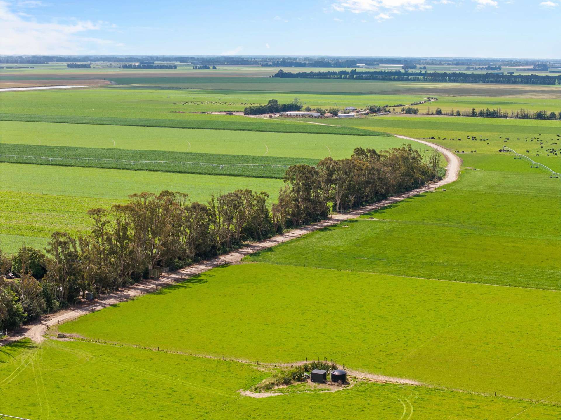 734 Maronan Ealing Road Lismore_0