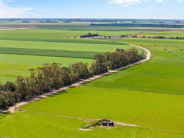 Blue Chip Dairy Support, with potential to convert