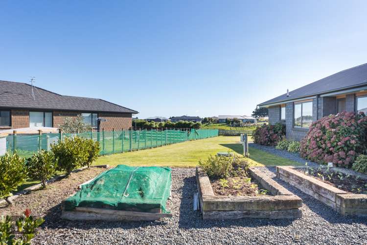 115 Mount Taylor Drive Feilding_15
