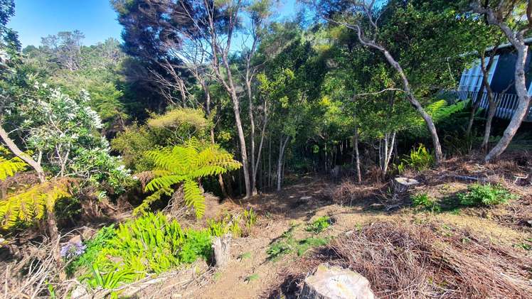 Lot 2 DP51532 Bon Accord Harbour Kawau Island_7