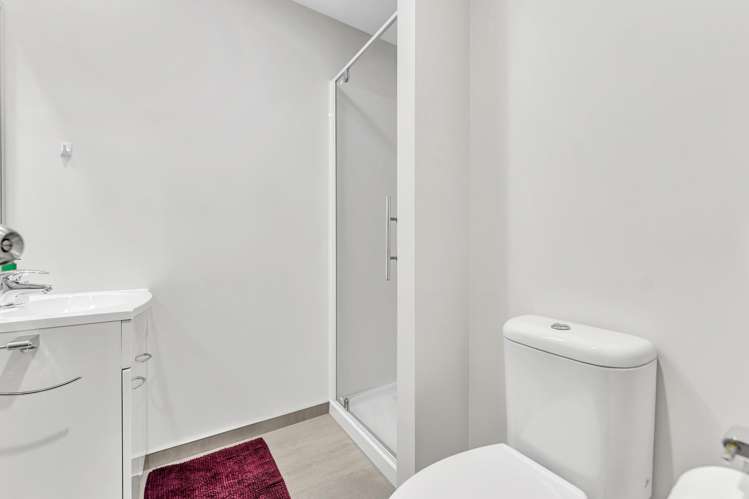 33 Divide Loop Takanini_11