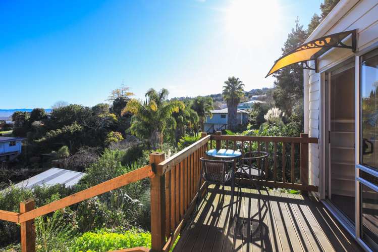 803 Richmond Street Thames_19