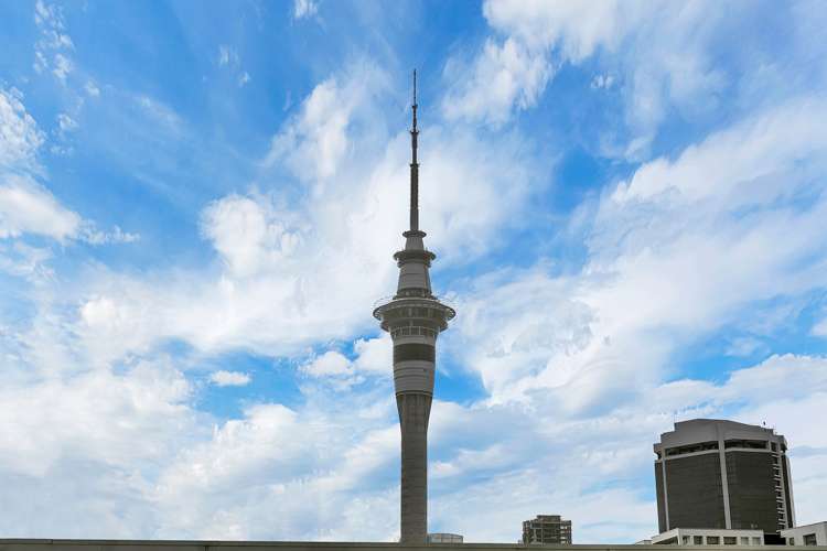 189 Hobson Street Auckland Central_6