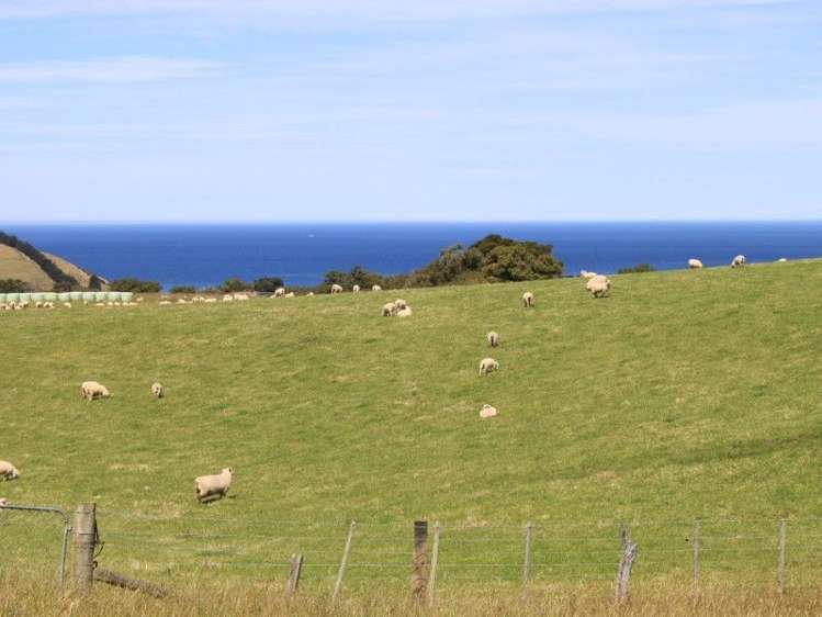 145 Adam Sutherland Road Palmerston_7