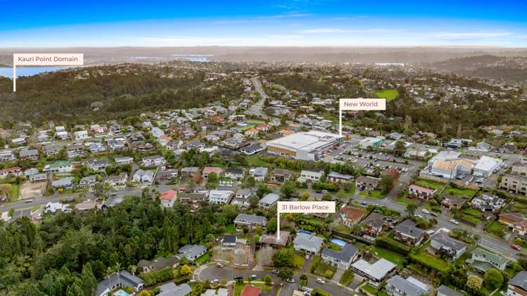 31 Barlow Place Chatswood_22