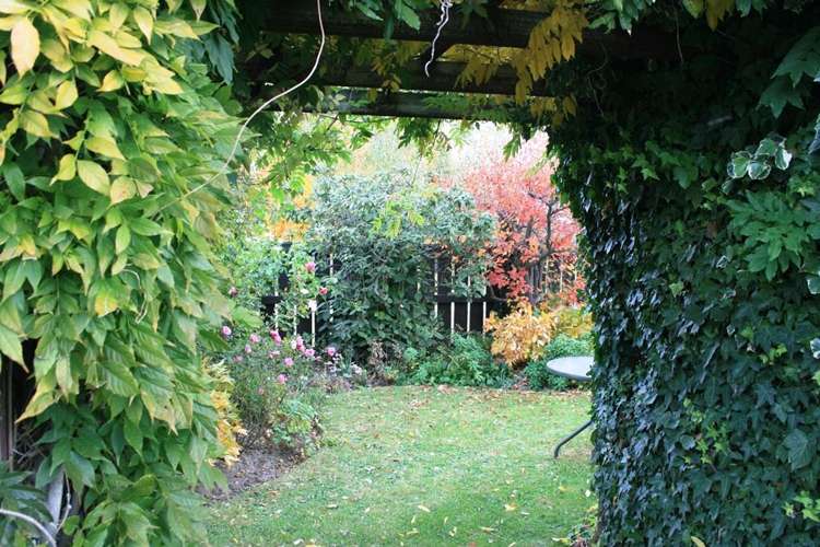 6 Rapuke Street Alexandra_18