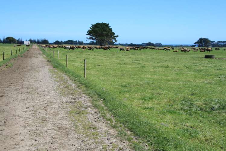 529 Arawhata Road Opunake_16