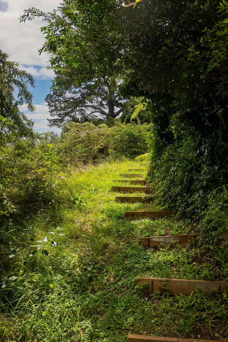 46C Fairlands Avenue Waterview_23