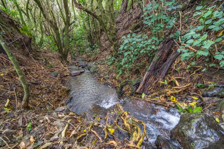 24 Reynolds Valley Road Little River_29