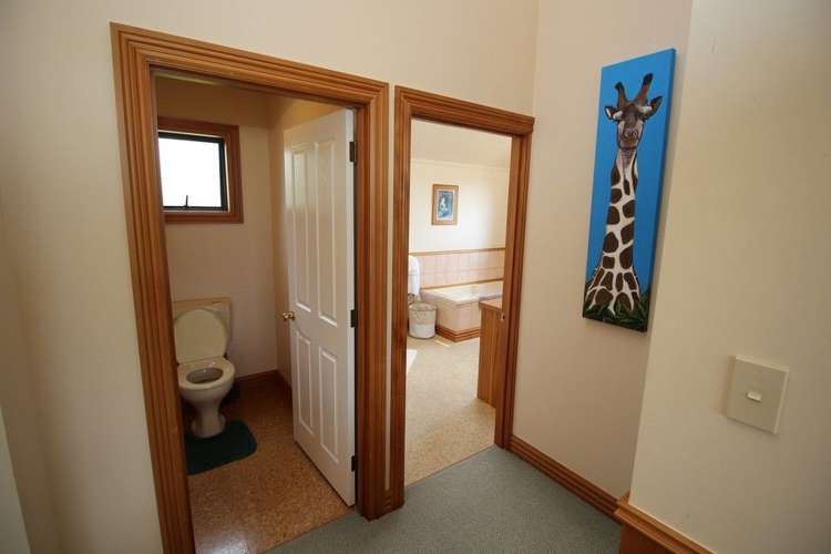 112 Calico Line Marton_42