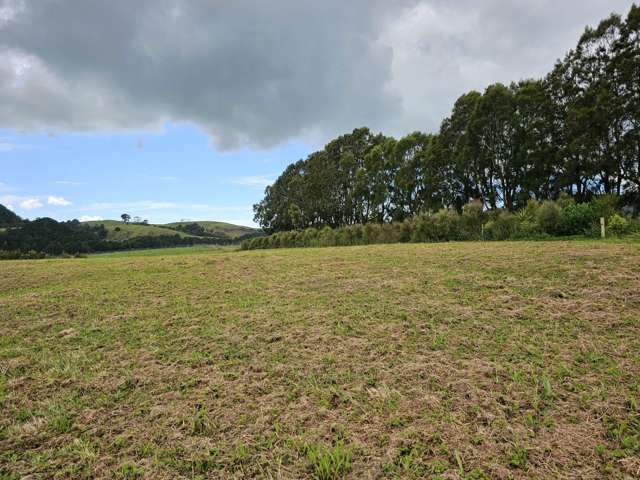 Lot Lot 3 Dodd Road Maungaturoto_4