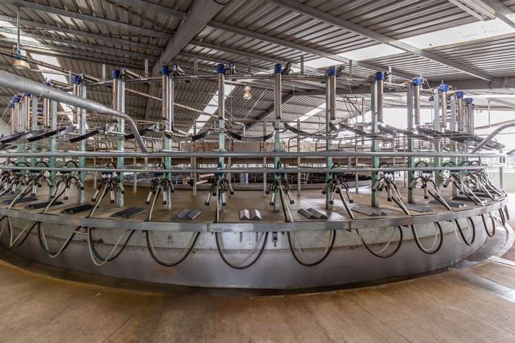 107a-E Mouse Point Road Culverden_12