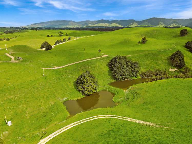 268 Kiritaki Road Dannevirke_11