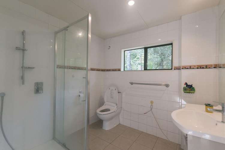 374 Wright Road Dairy Flat_9