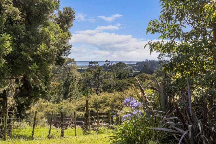 243A Wright Road Katikati_9