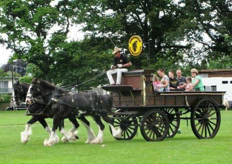 1375 Mcclure Street Pirongia_31