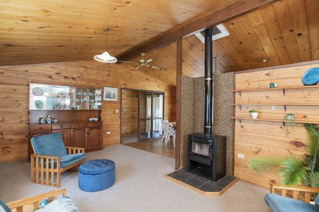113a Sheehan Street Whataupoko_1