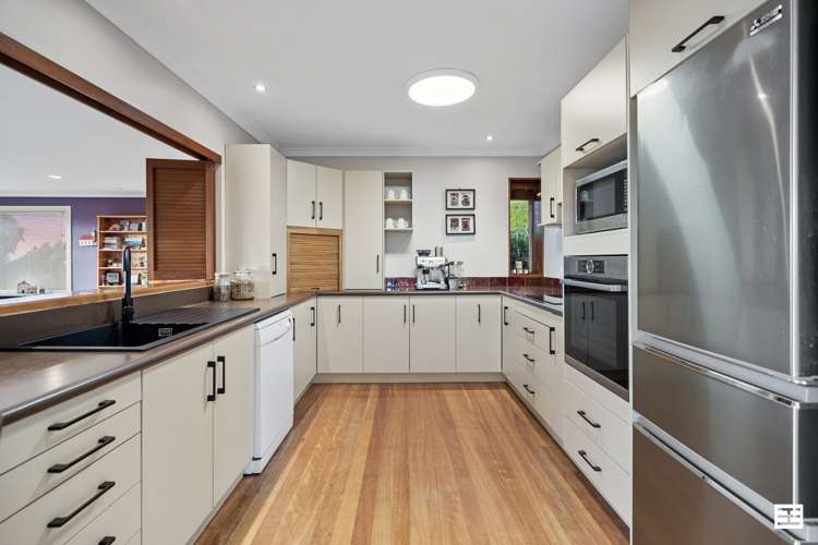 5 Diamond Head Hairini_11