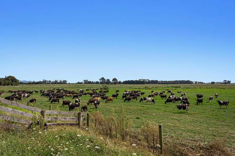 379B Powdrell Road Awakeri_2