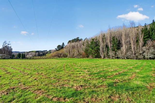 29 Blackhill Road Tinui_1