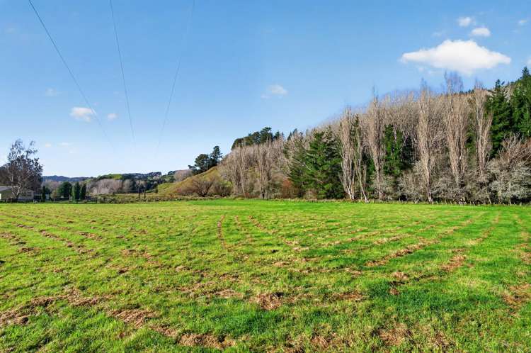 29 Blackhill Road Tinui_1