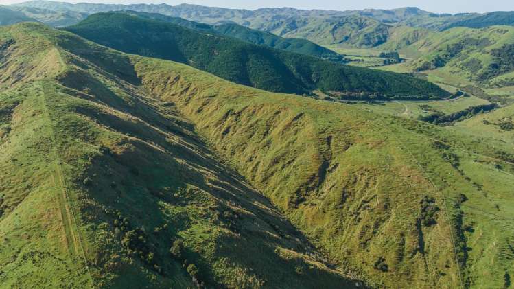 1311 Pahiatua Pongaroa Road Pahiatua_6