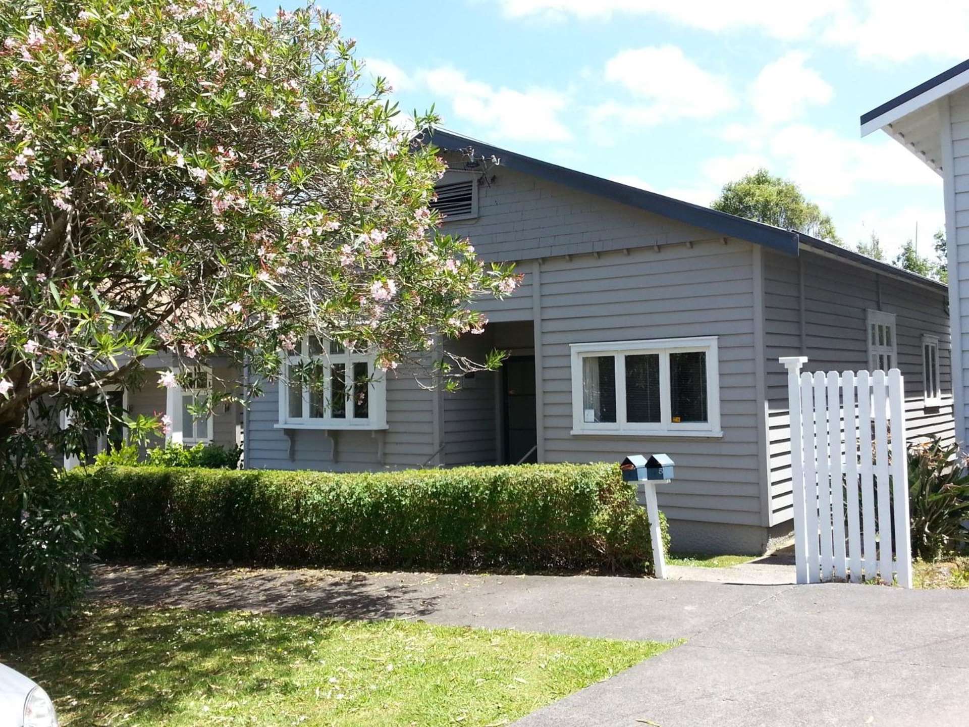 1/5 Provost St Ponsonby_0