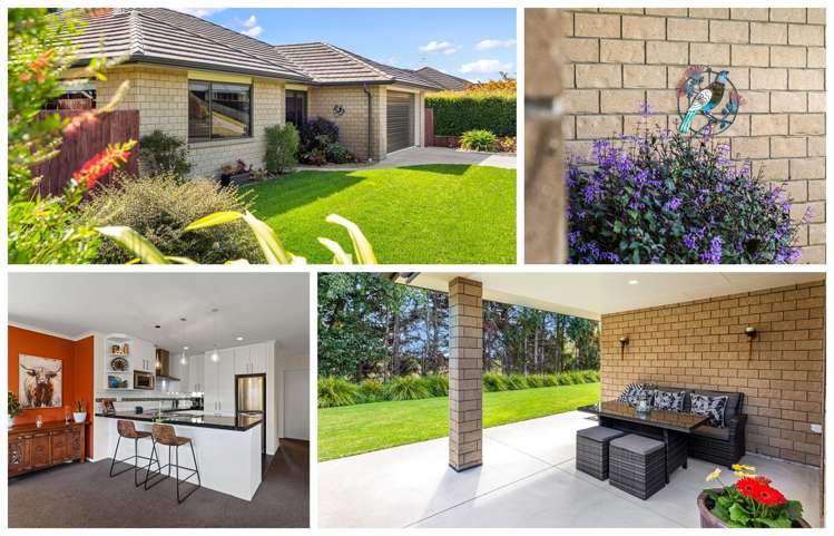 22 Bertrowe Drive Ohauiti_1