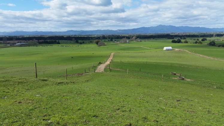 Morrinsville-Tahuna Road Morrinsville_16