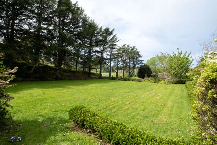 339 Seafield Road Eskdale_40