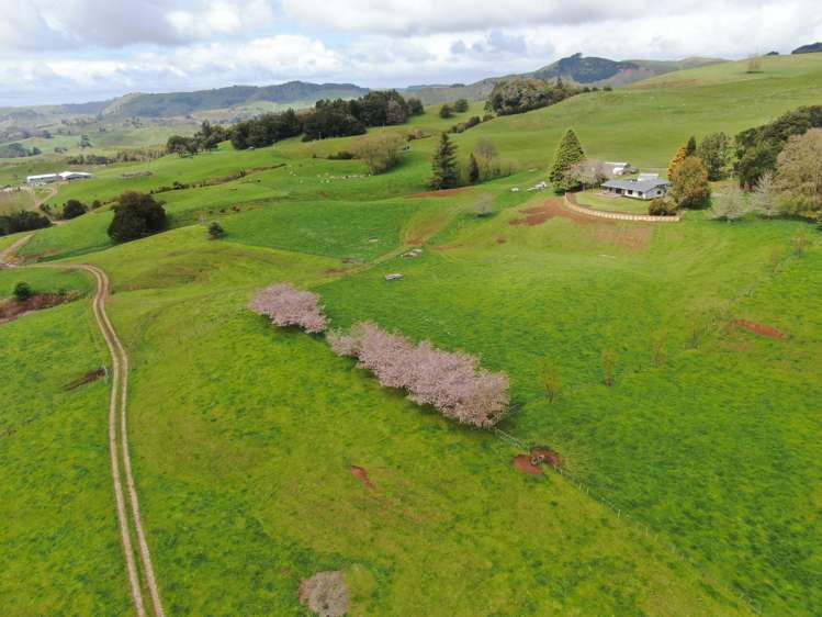 694 Troopers Road Te Kuiti_36