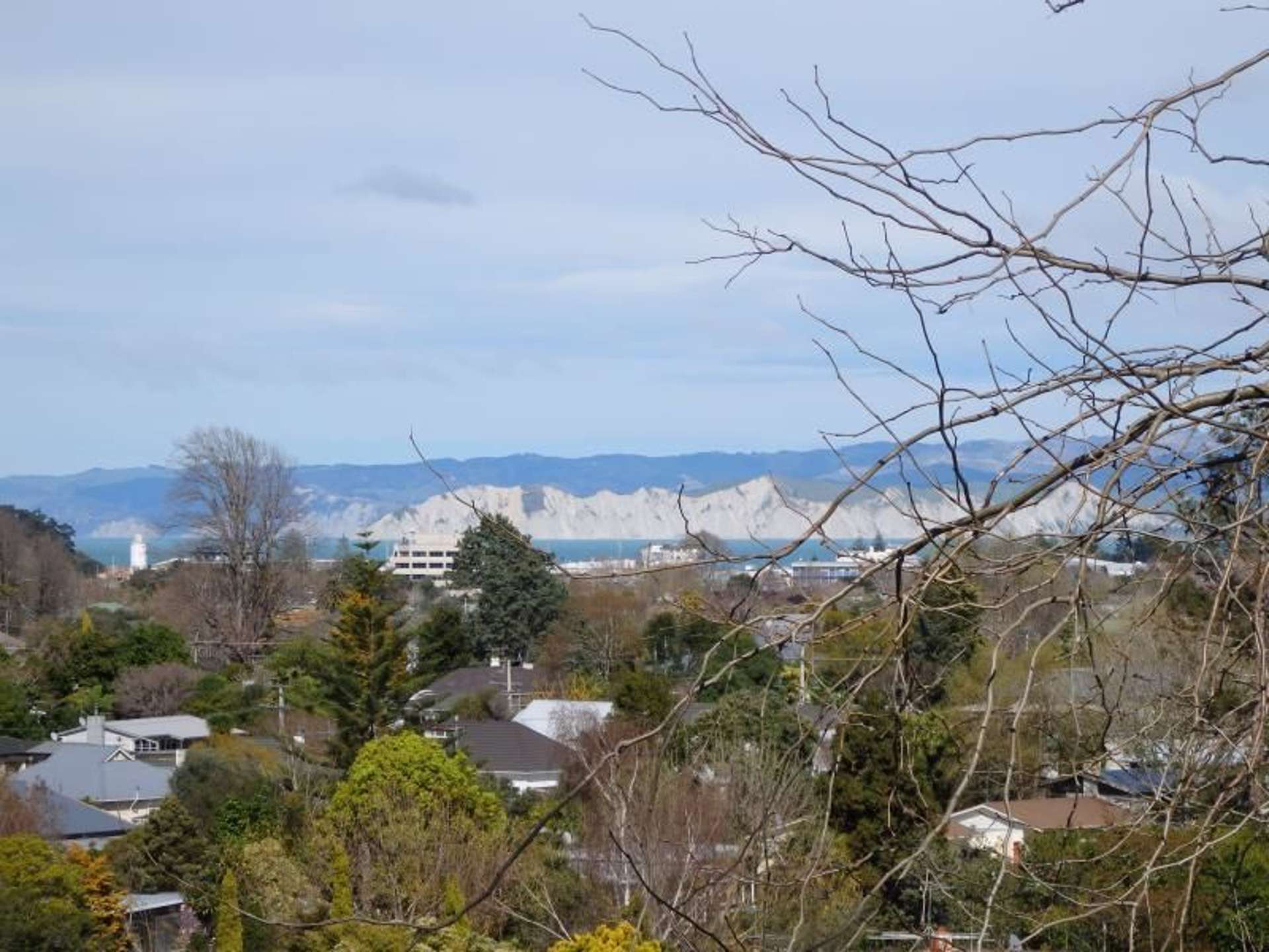 31 Richardson Avenue Whataupoko_0