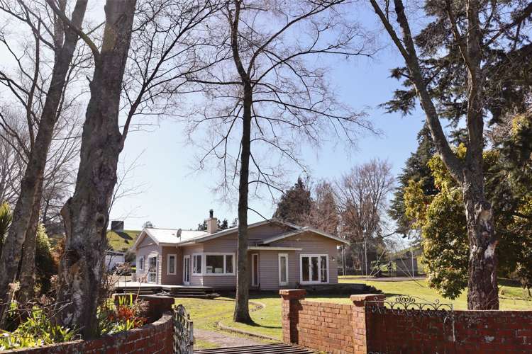 467 Pungatawa Road_0