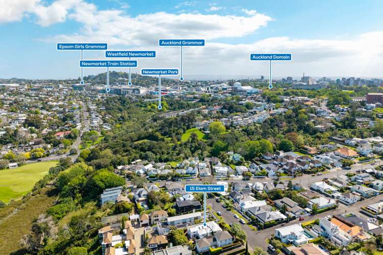 15 Elam Street Parnell_29