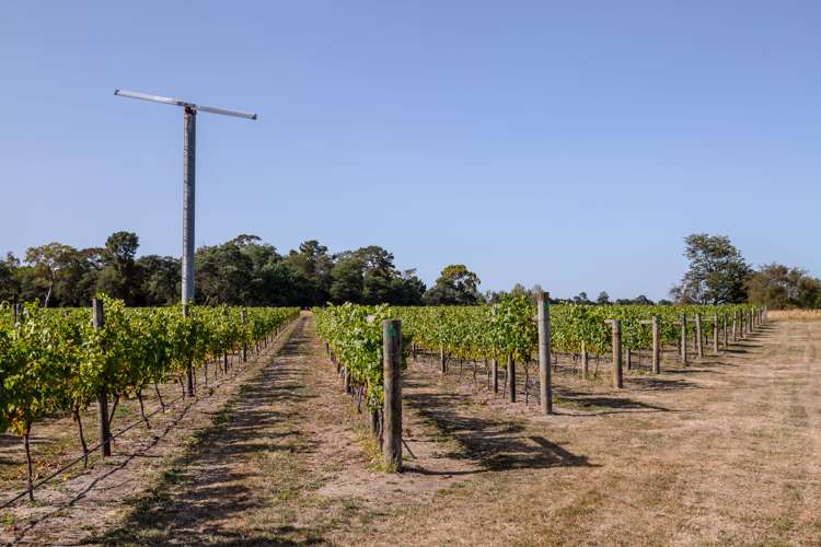 46 Waipipi Road Opaki_10