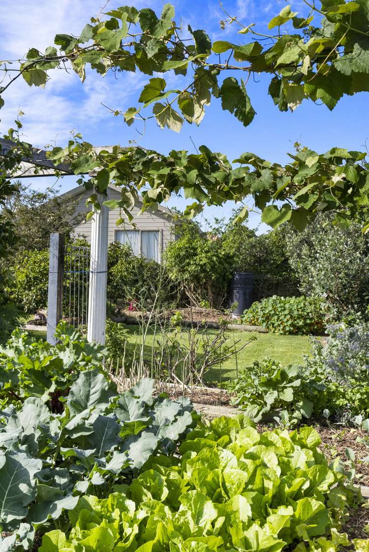 10 Lutana Place Pakuranga Heights_31