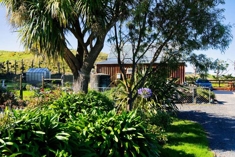 40 State Highway 1 Kaikoura Surrounds_32