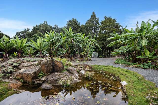 Lifestyle oasis with a passive income...