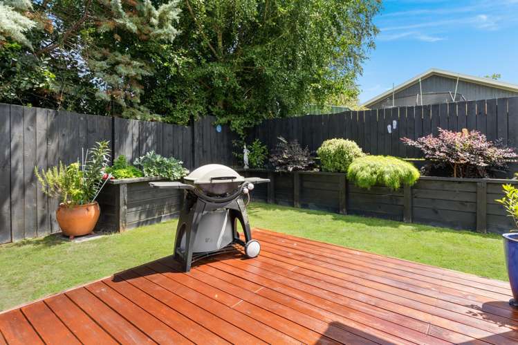 53b George Street Morrinsville_15