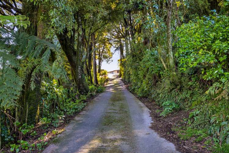 821 Tariki Road Ratapiko_18