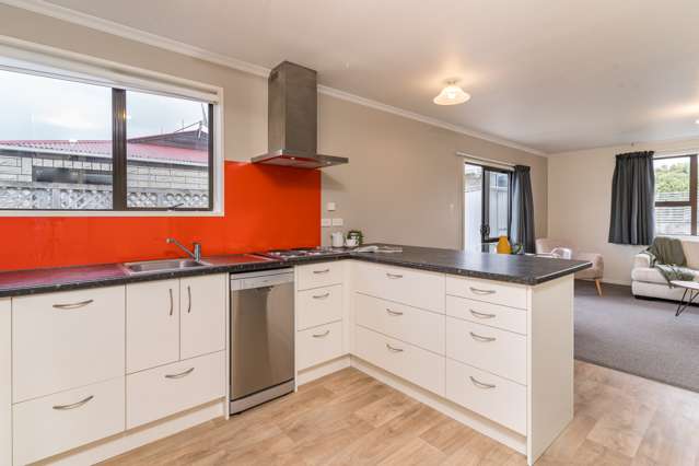 b/60 Cutten Street South Dunedin_4