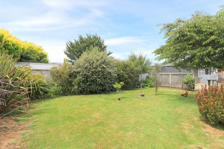 332 Tay Street Turnbull Thomson Park_23