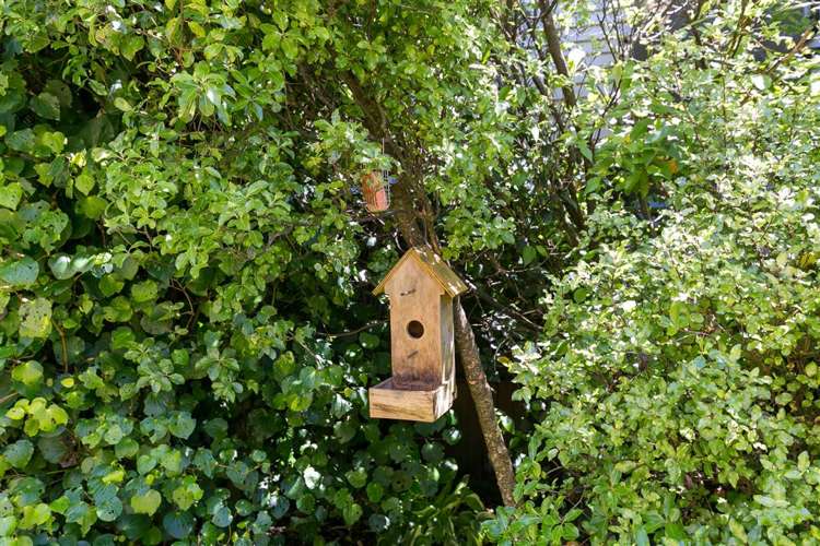 1 Peter Button Place Johnsonville_17