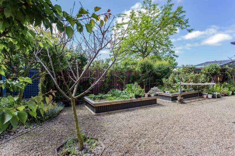 38 Tripoli Street Rangiora_19