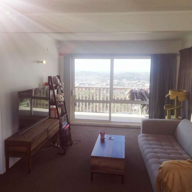 10B Middlesex Place Northland_1