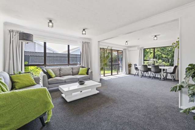 14A Meadow Street Papanui_1