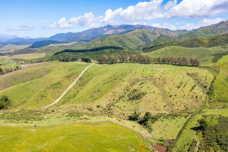 63 Crallans Drain Road Oxford_31