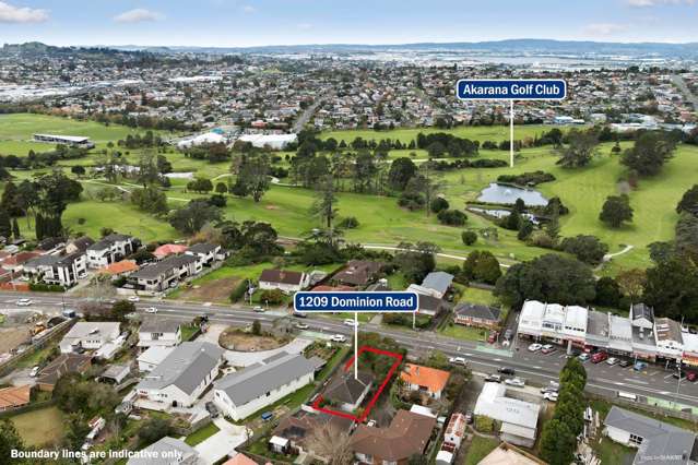 1209 Dominion Road Mount Roskill_4