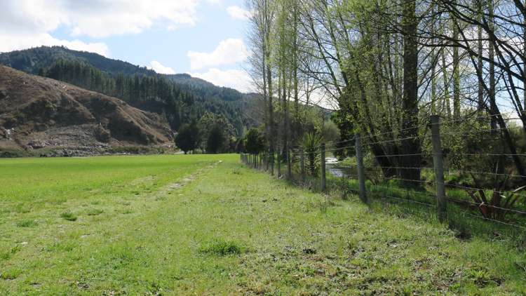 3957 Northbank Road Wairau Valley_13